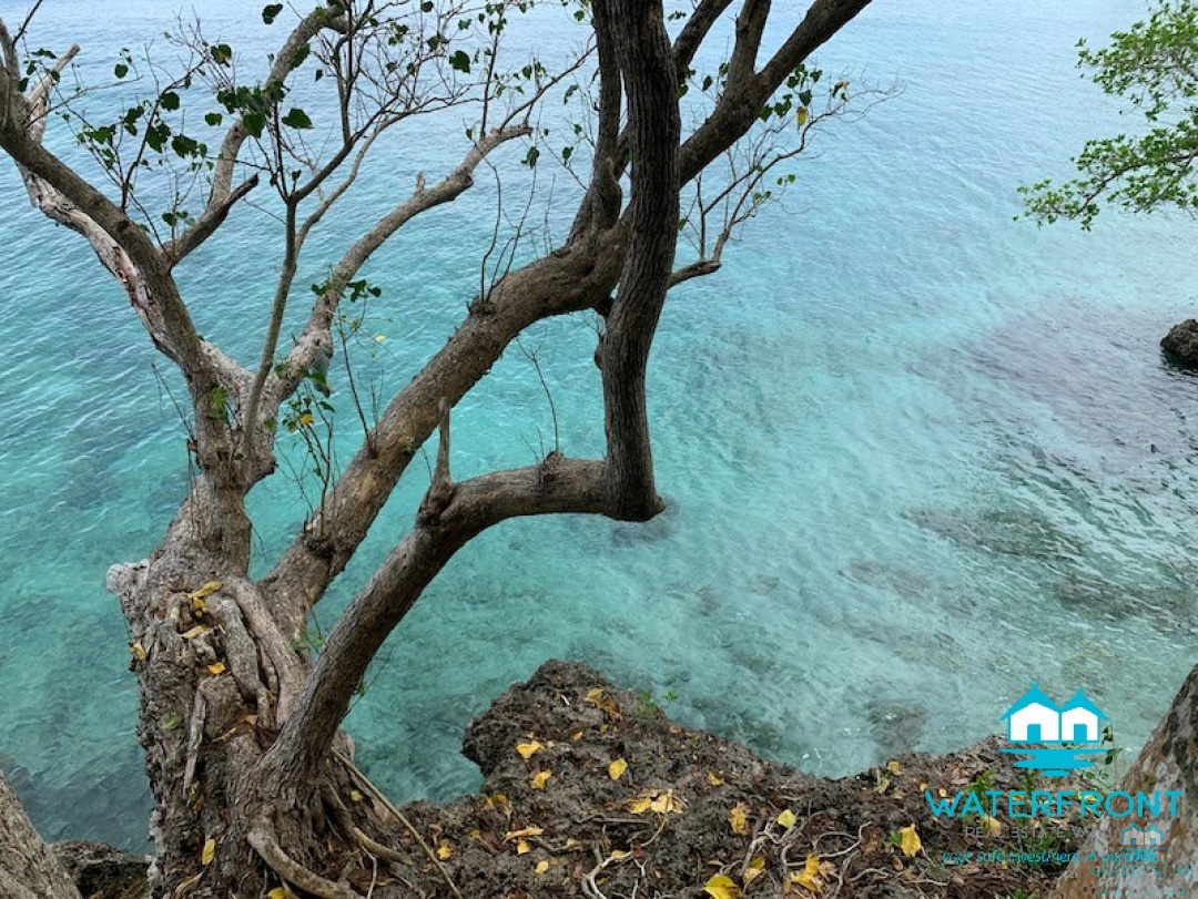Vanuatu, ,Commercial,For Sale,1165